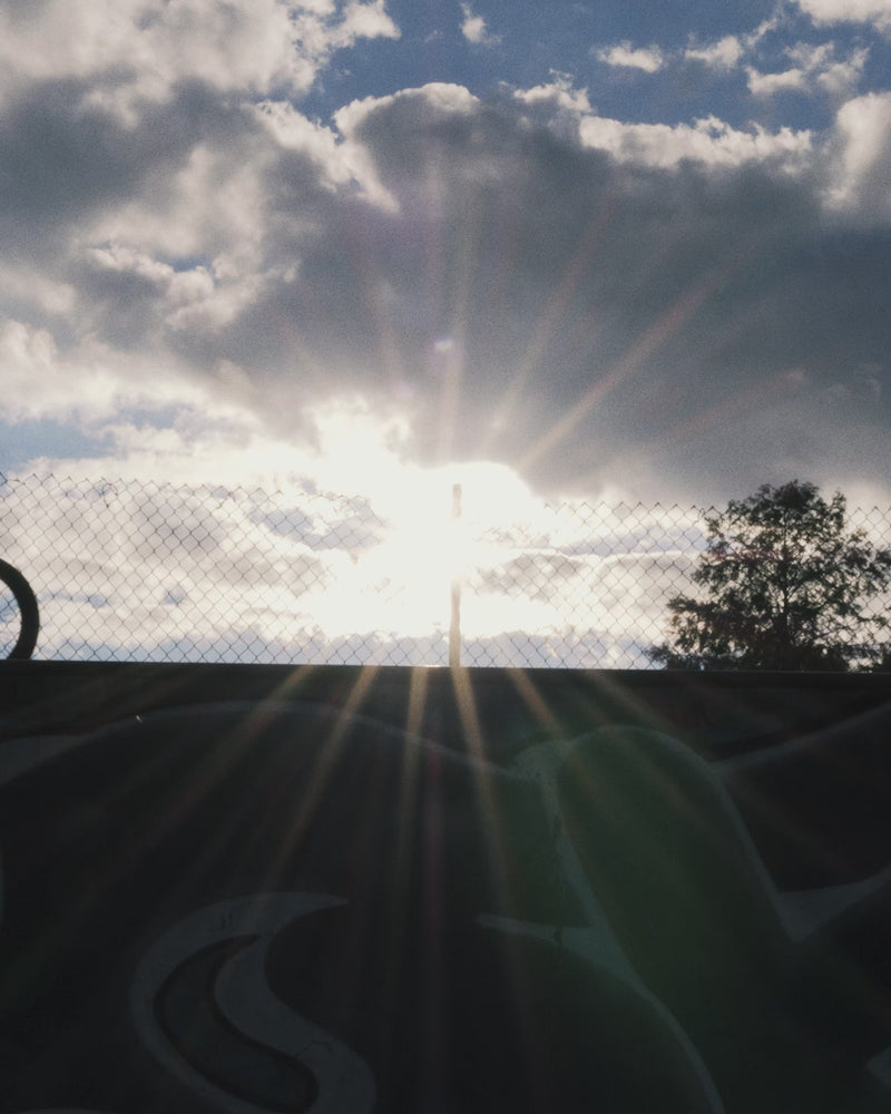 DAN FOLEY - Endy: Green / Black